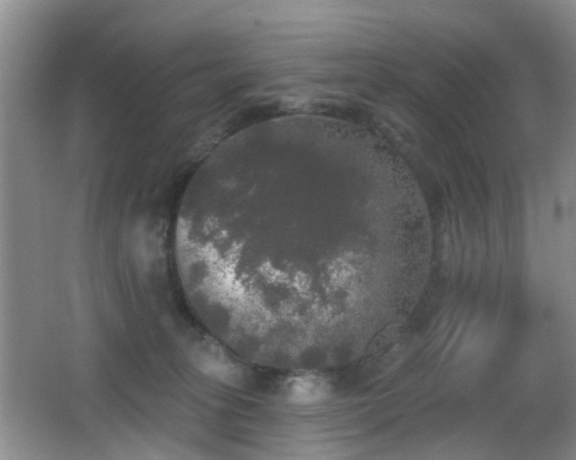 X0000066970275200603241218