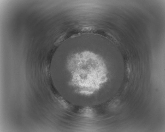 X0000066970276200603241218