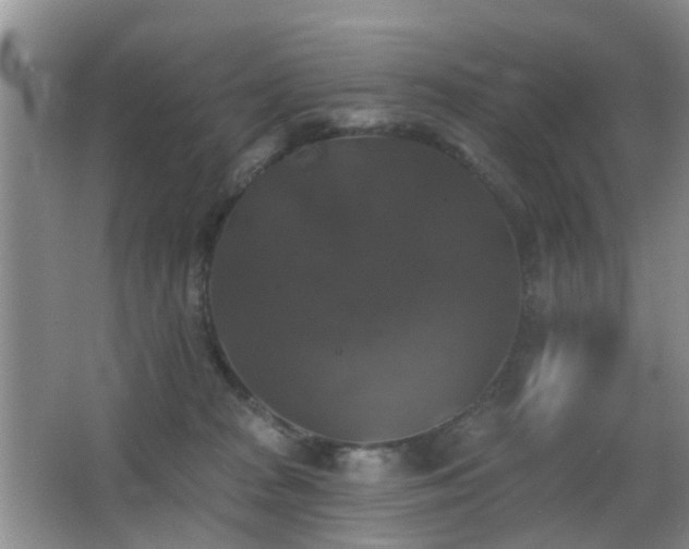 X0000066970277200603241218