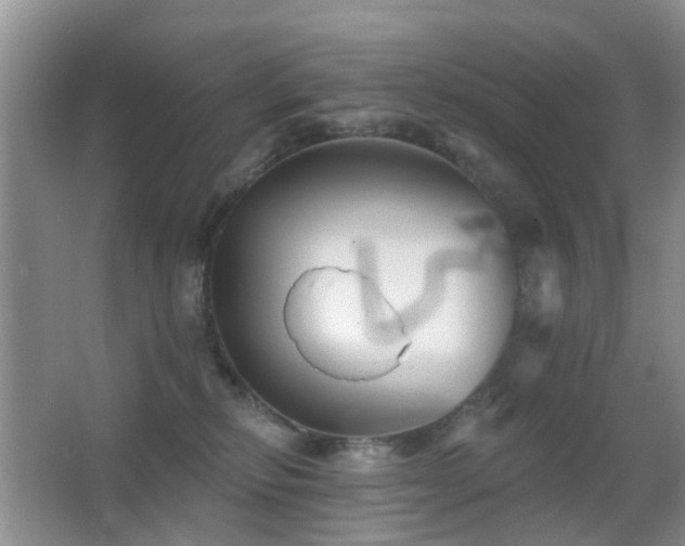 X0000066970278200603241218