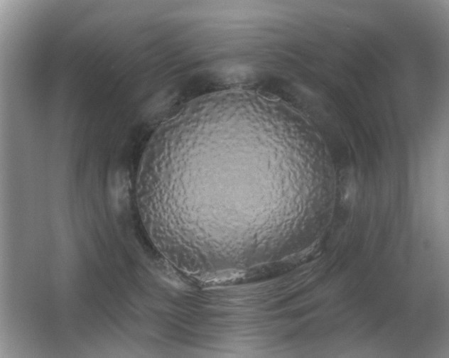 X0000066970279200603241218