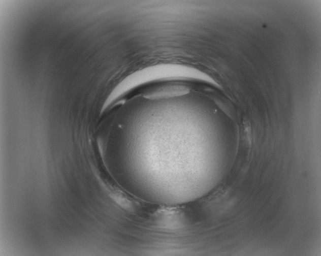 X0000066970280200603241218