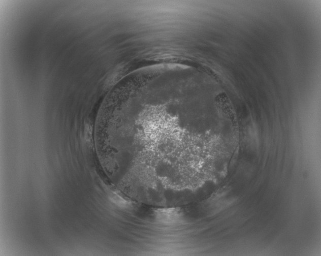 X0000066970281200603241218