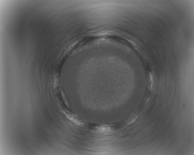 X0000066970284200603241218