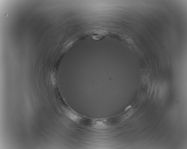 X0000066970285200603241218