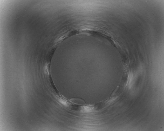 X0000066970286200603241219