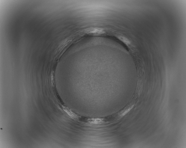 X0000066970288200603241219