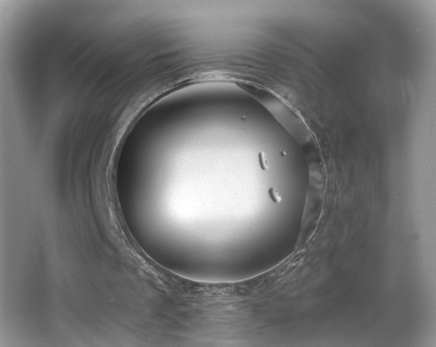 X0000066970289200603241218