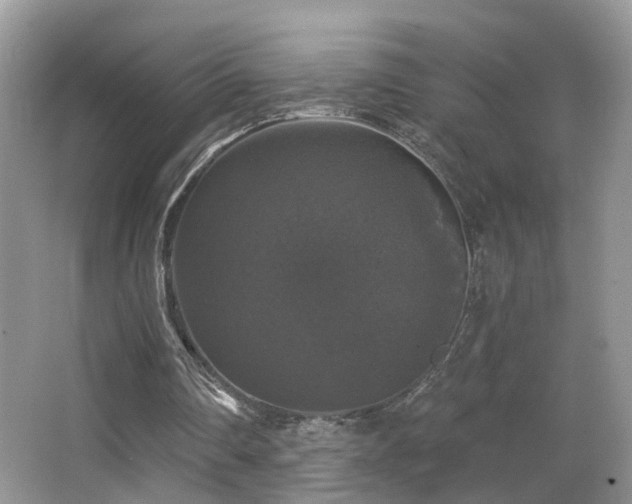 X0000066970290200603241218