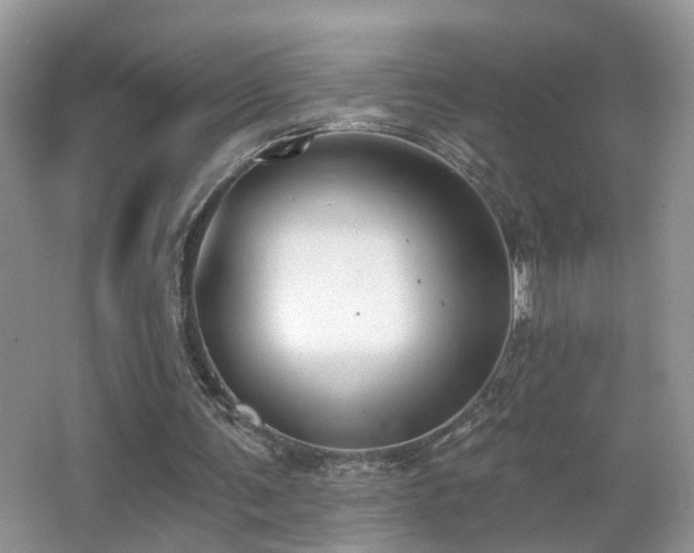 X0000066970291200603241218