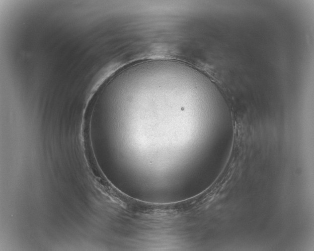 X0000066970292200603241218