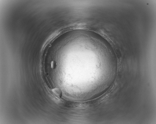 X0000066970293200603241218