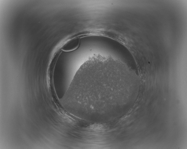 X0000066970294200603241218