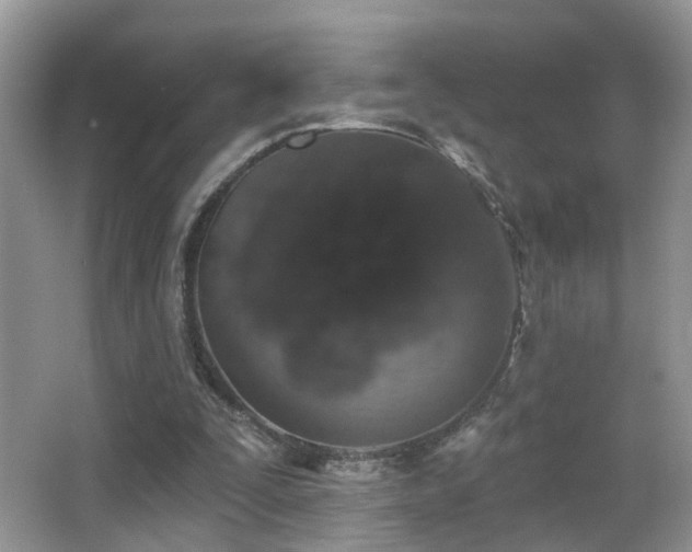 X0000066970295200603241218