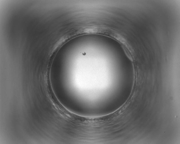 X0000066970297200603241218