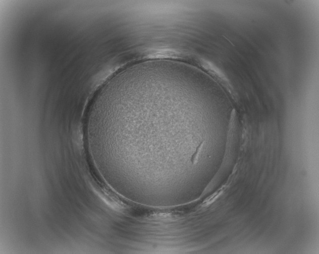 X0000066970298200603241218