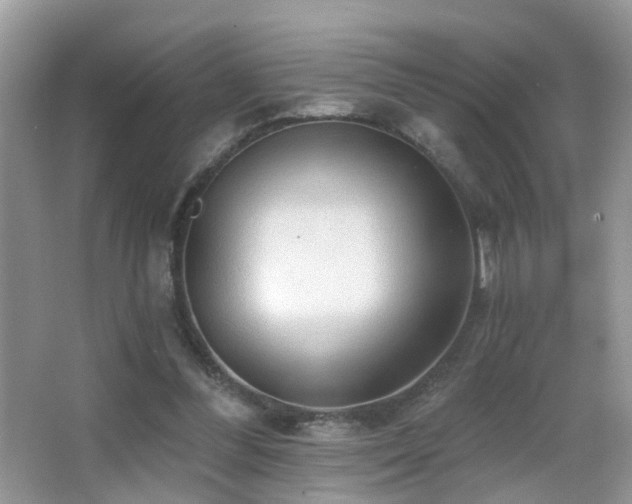 X0000066970300200603241218