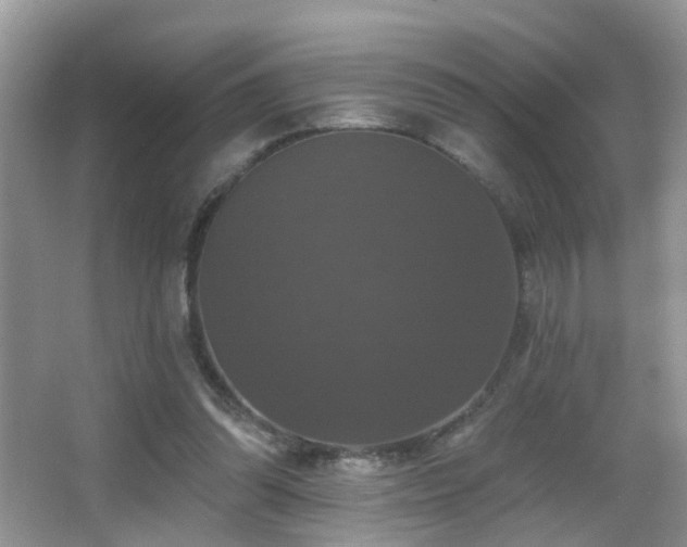 X0000066970302200603241218