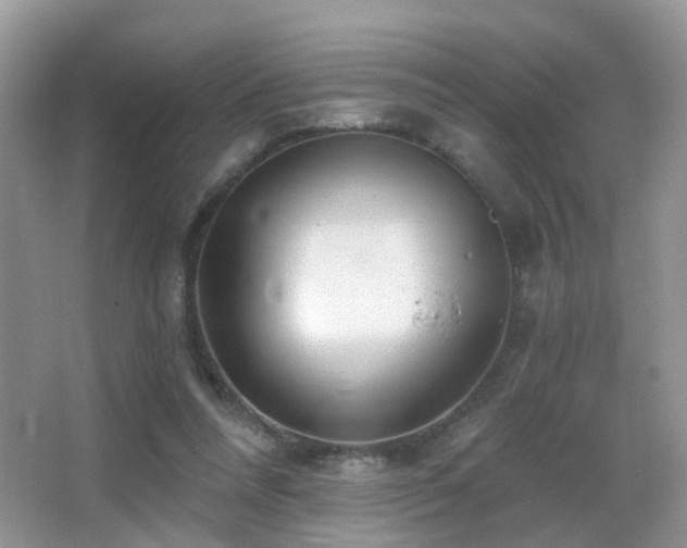 X0000066970304200603241217