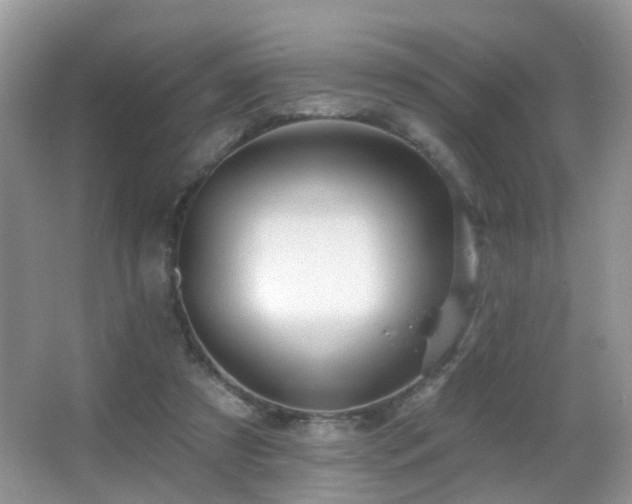 X0000066970305200603241217