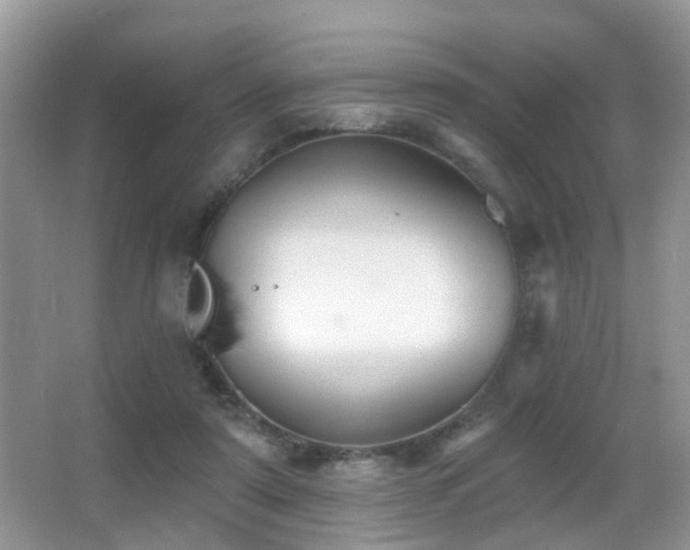 X0000066970307200603241217