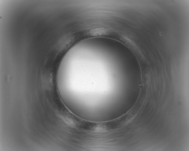 X0000066970308200603241217