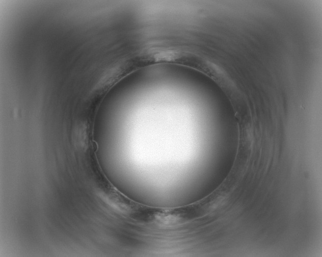 X0000066970311200603241217