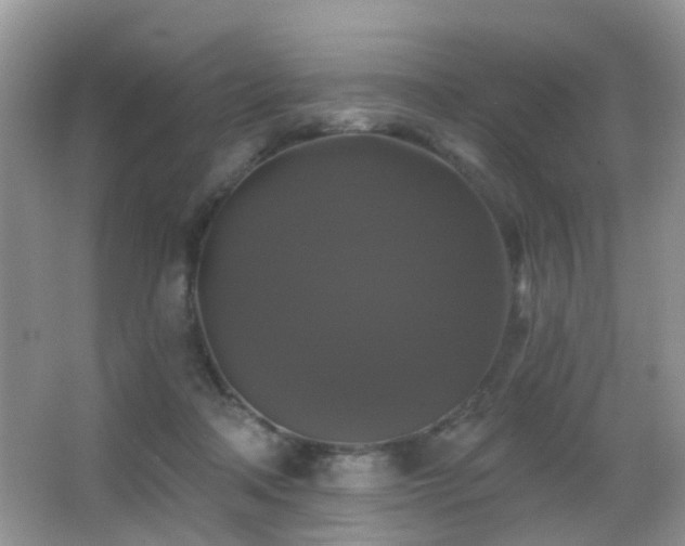 X0000066970314200603241217