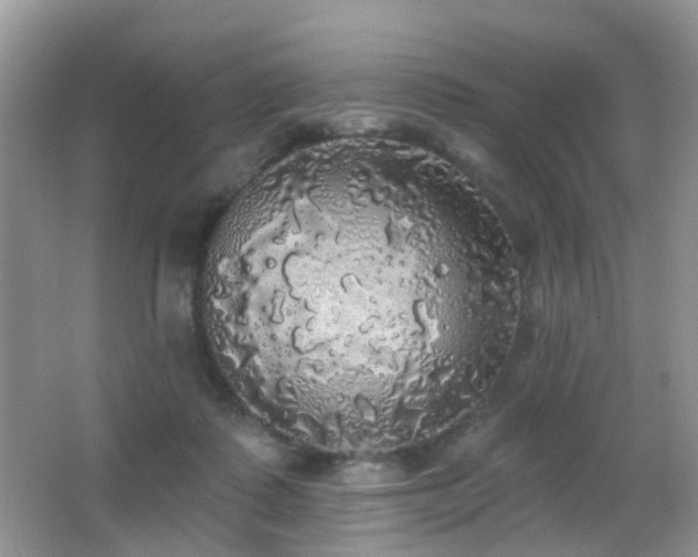 X0000066970315200603241217