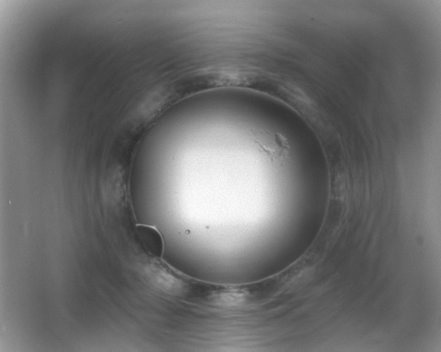 X0000066970318200603241217