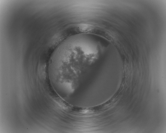 X0000066970319200603241217