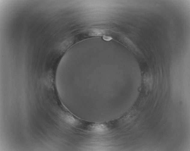 X0000066970322200603241217