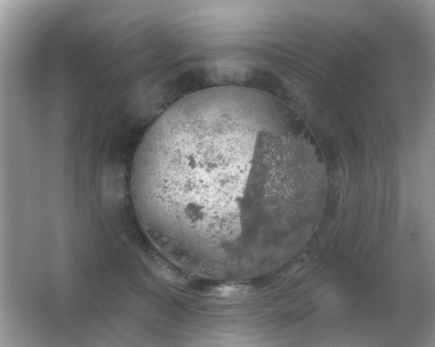 X0000066970323200603241217