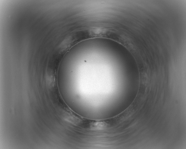 X0000066970324200603241217