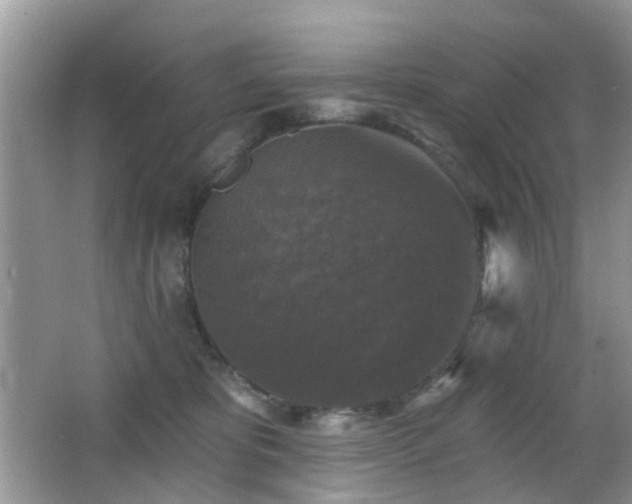 X0000066970325200603241217