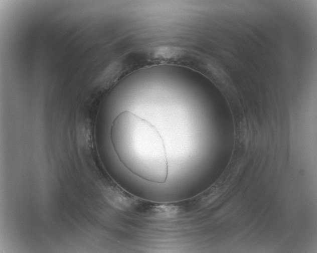 X0000066970328200603241217