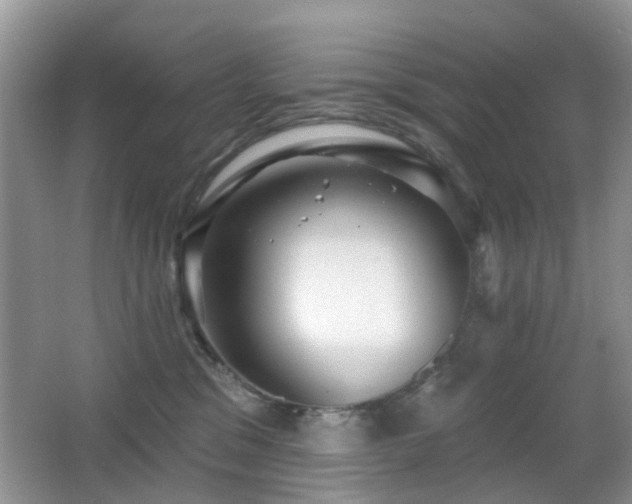 X0000066970329200603241217