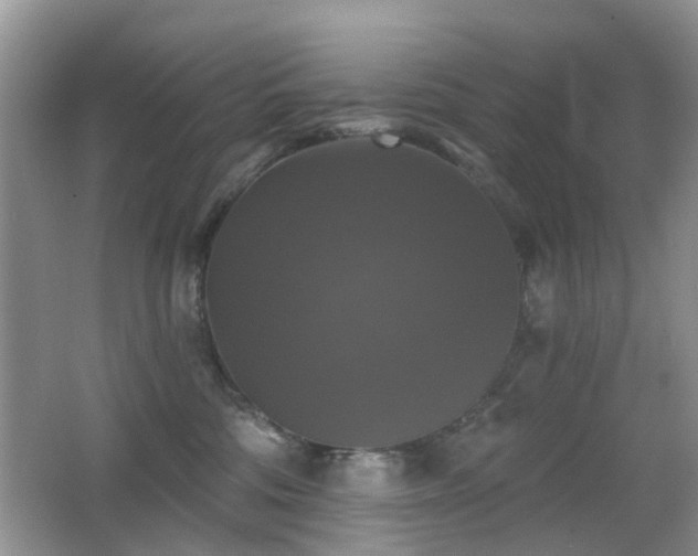 X0000066970330200603241217