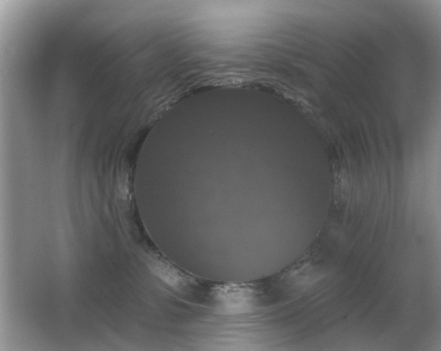 X0000066970331200603241217