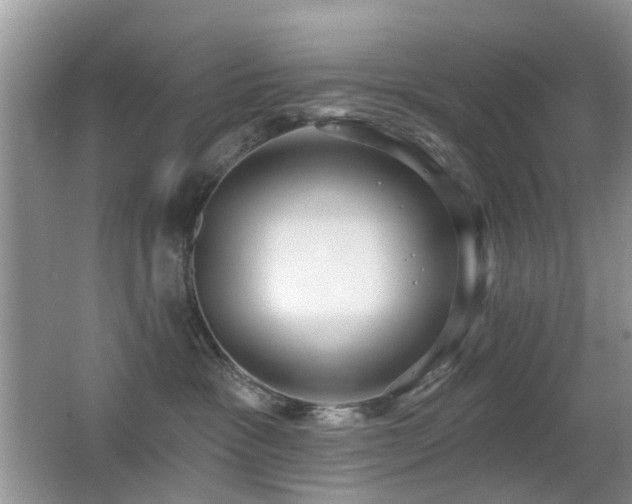 X0000066970333200603241217