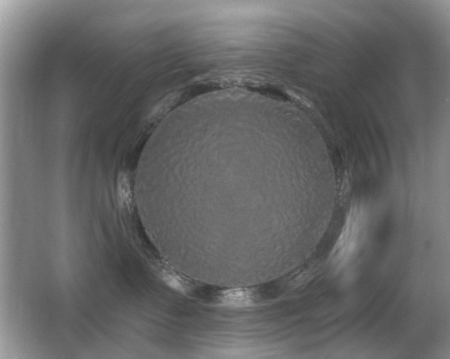 X0000066970335200603241217