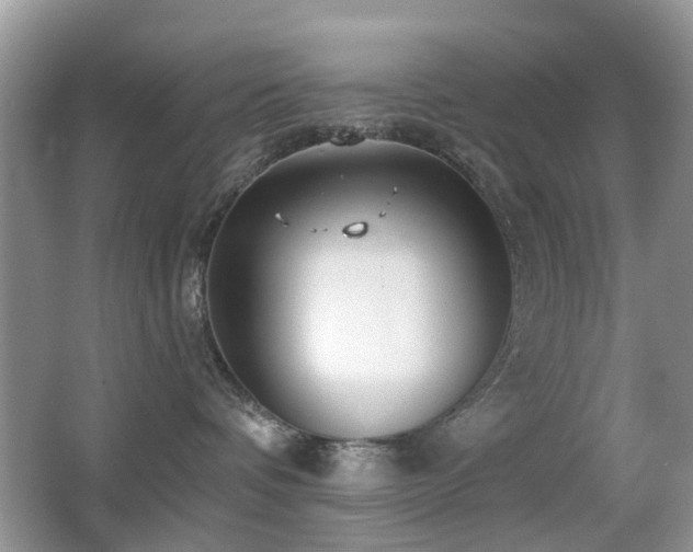 X0000066970336200603241217