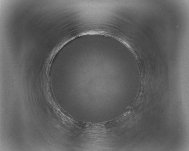 X0000066970337200603241216