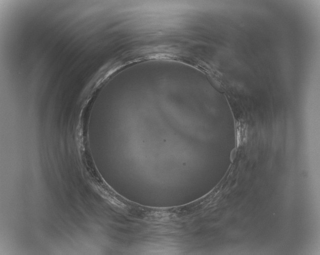 X0000066970339200603241216