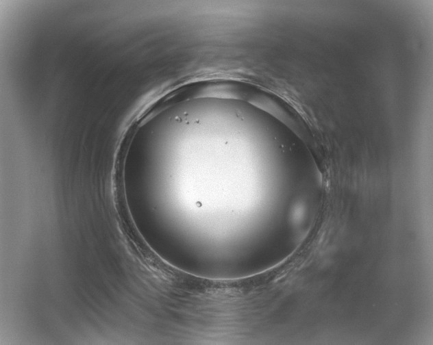 X0000066970340200603241216