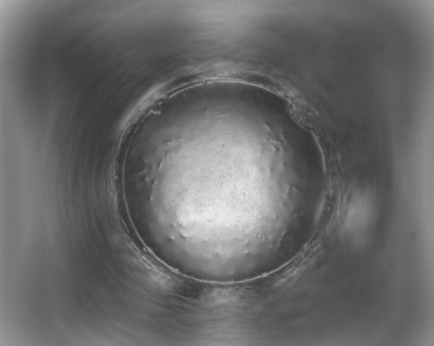 X0000066970341200603241216