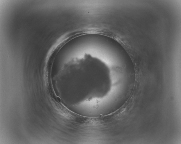 X0000066970343200603241216