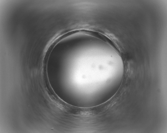 X0000066970344200603241216