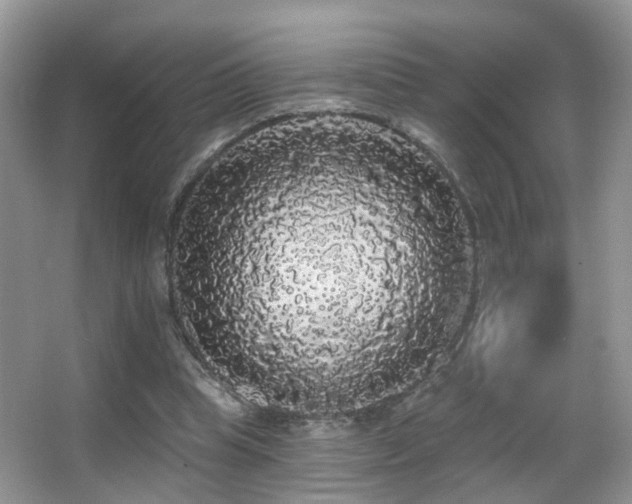 X0000066970345200603241216