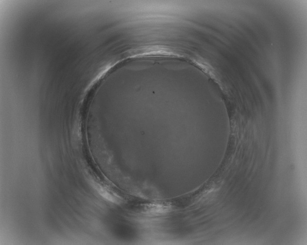 X0000066970347200603241216